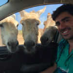 Marcelo Adnet em Donkey Sanctuary Bonaire