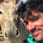 Marcelo Adnet em Donkey Sanctuary Bonaire