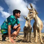 Marcelo Adnet em Donkey Sanctuary Bonaire