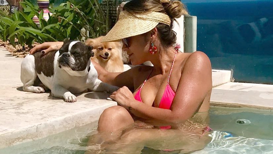 Flávia Alessandra com cachorros de estimação