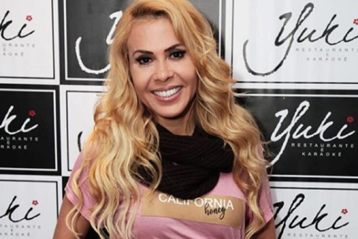 Após briga generalizada, Joelma interrompe show; entenda