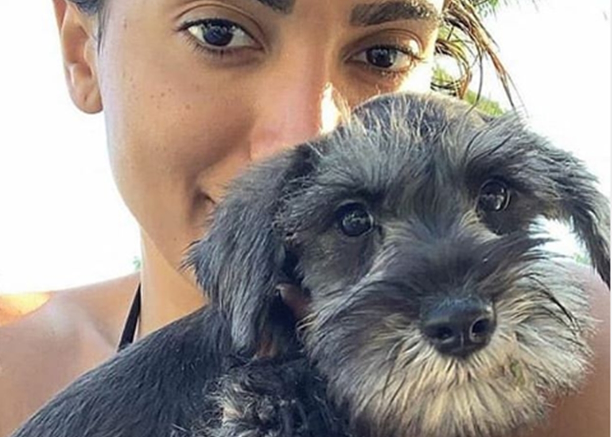 Anitta lamenta morte de seu cachorro: “Não consigo acreditar”