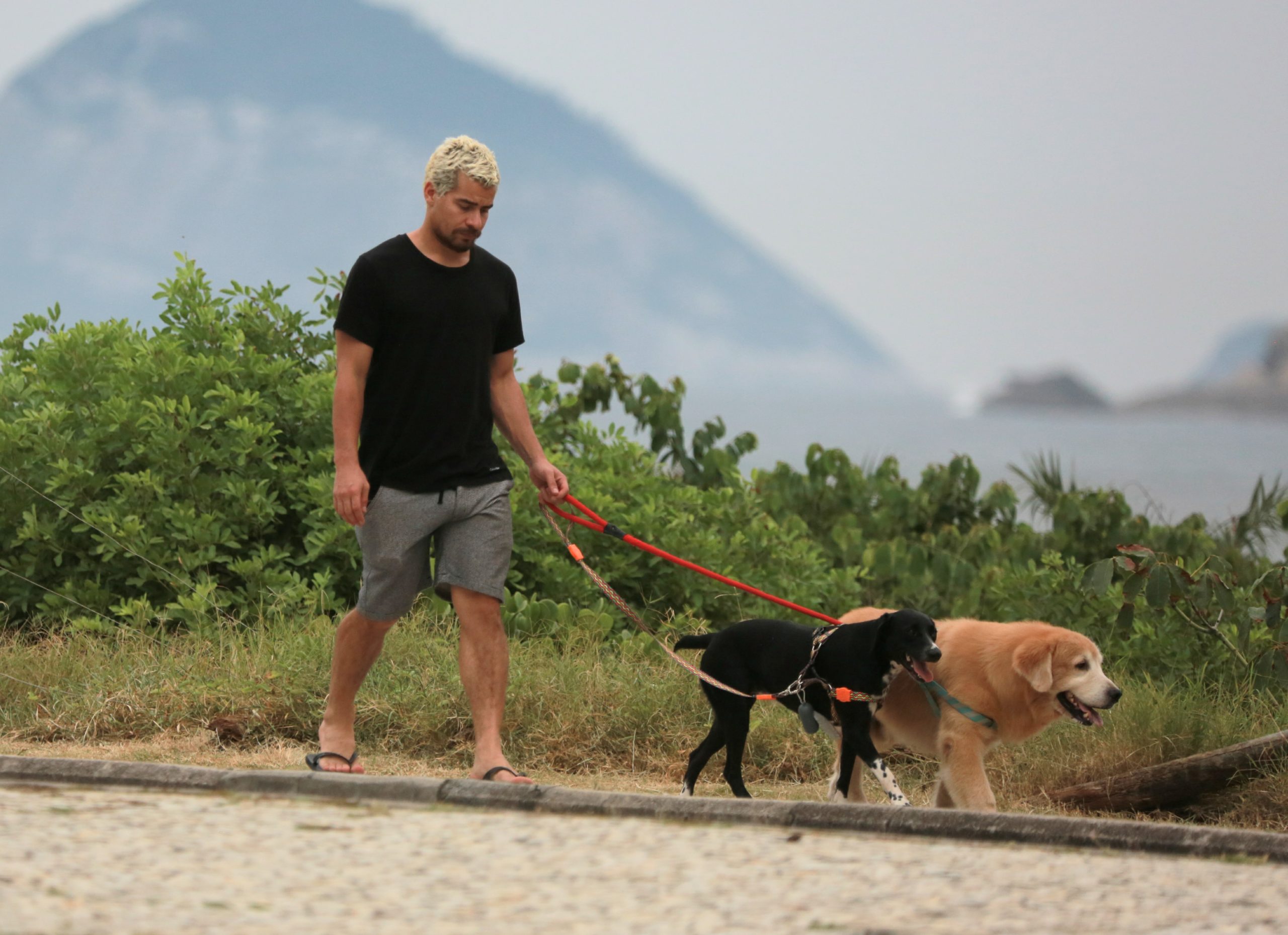 Em meio a pandemia do coronavírus, Thiago Martins passeia com pets na orla da praia