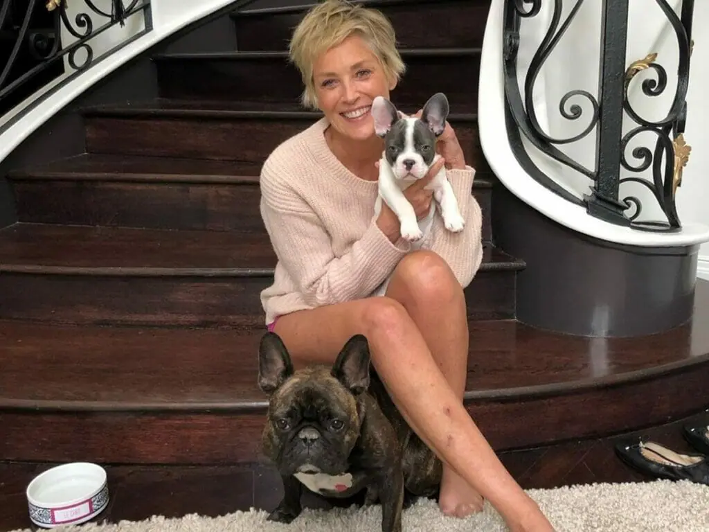 Aos 64 anos, Sharon Stone agita a web ao fazer topless e exibir boa forma