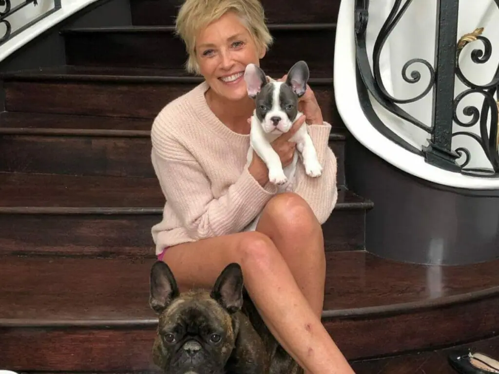 Em depoimento chocante, Sharon Stone fala sobre doença: “Eu não tive empregos”