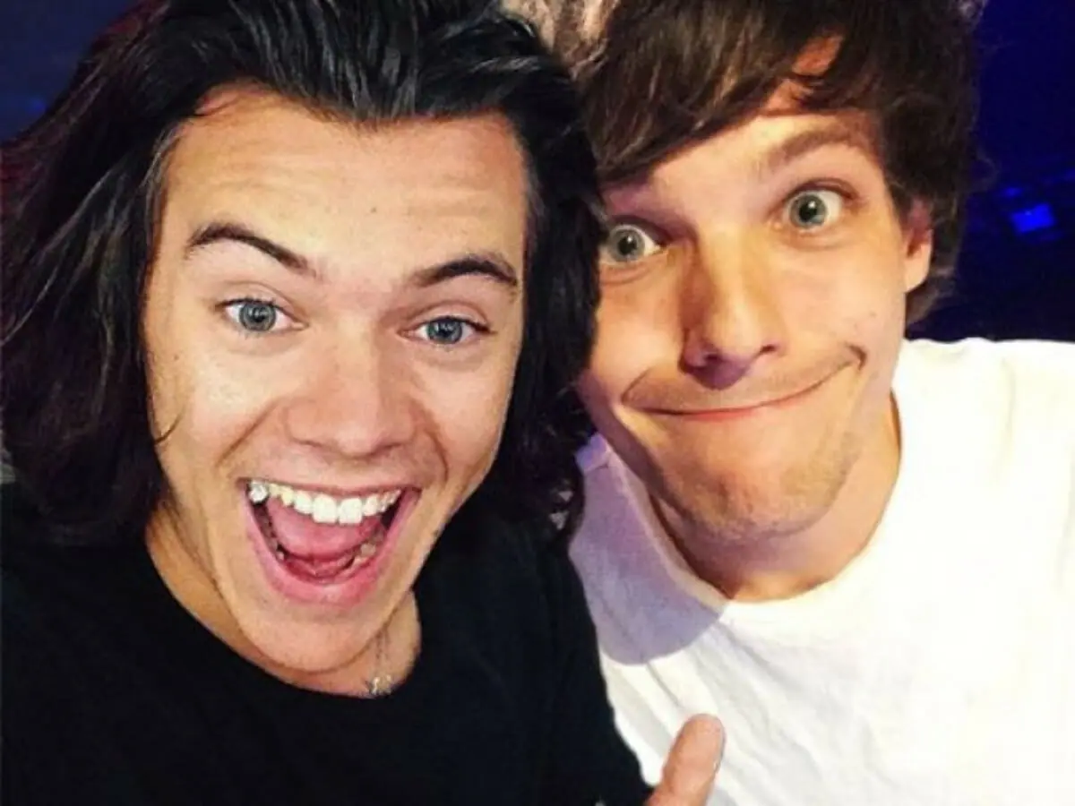 Harry Styles e Louis Tomlinson