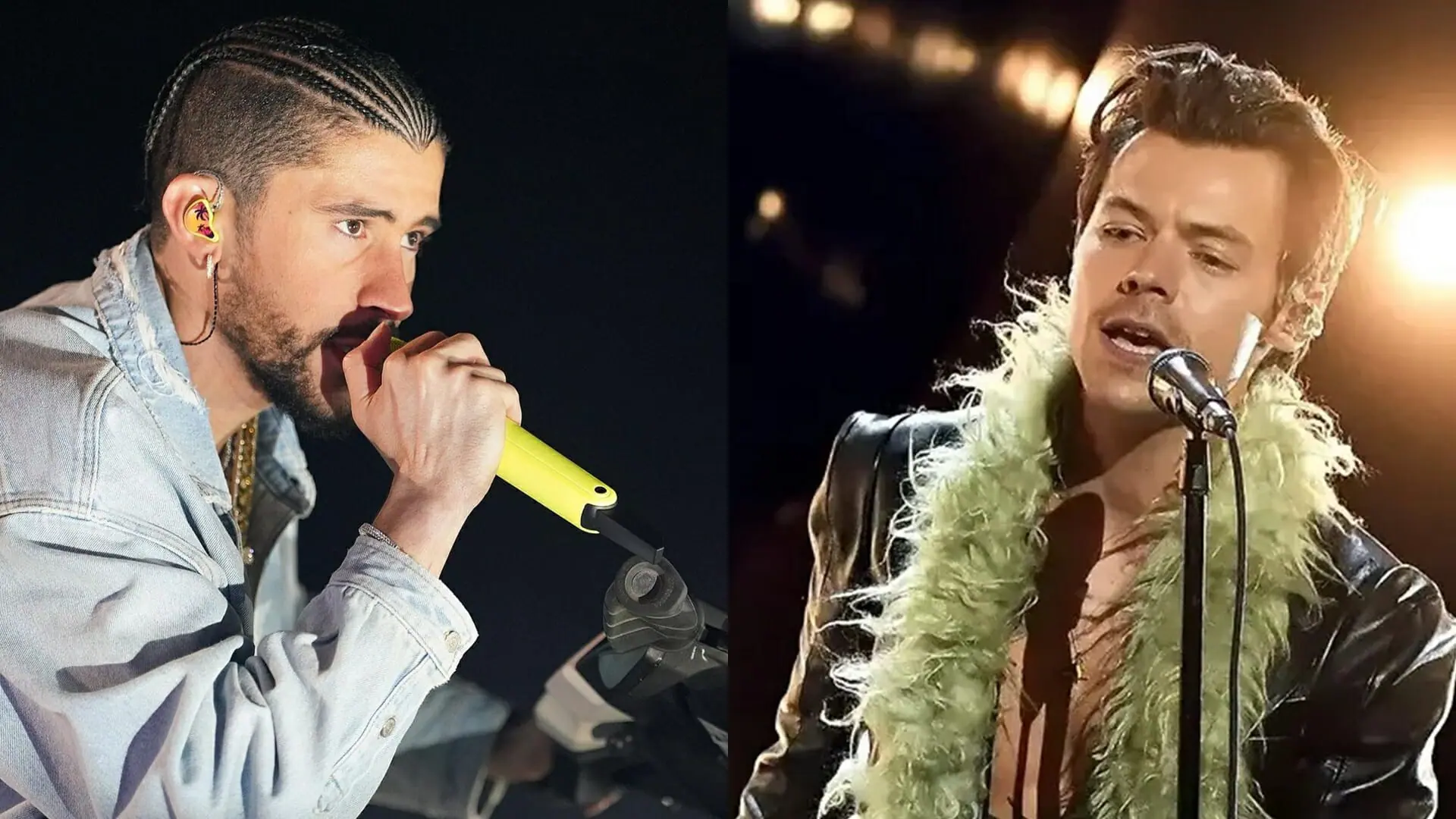 Bad Bunny e Harry Styles (Reprodução/Montagem Observatório dos Famosos)