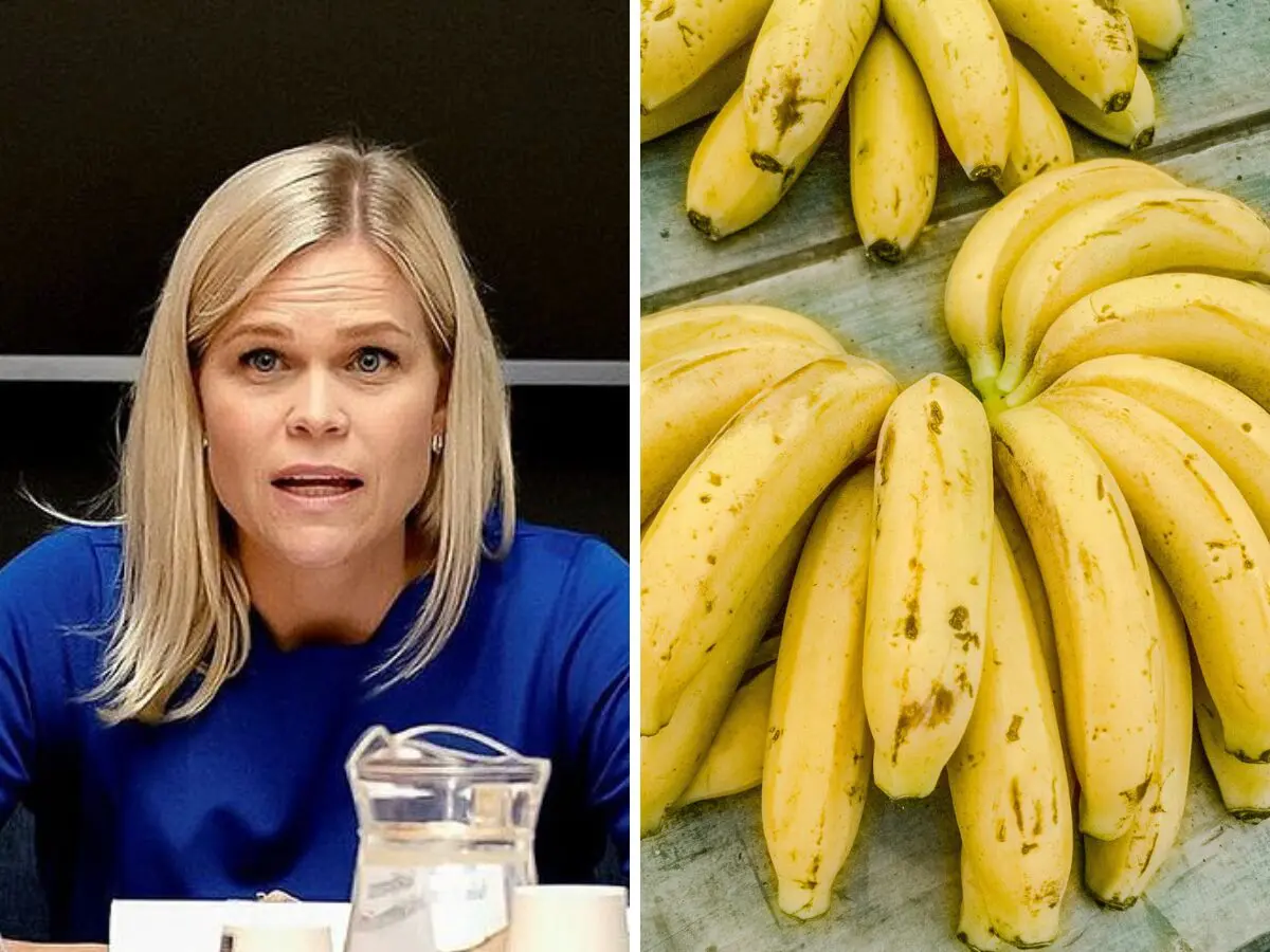 Paulina Brandberg e a Fobia de Bananas